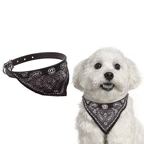 Chic Black Bandana Collar – Perfect for Small Dogs & Cats | Comfy & Lightweight