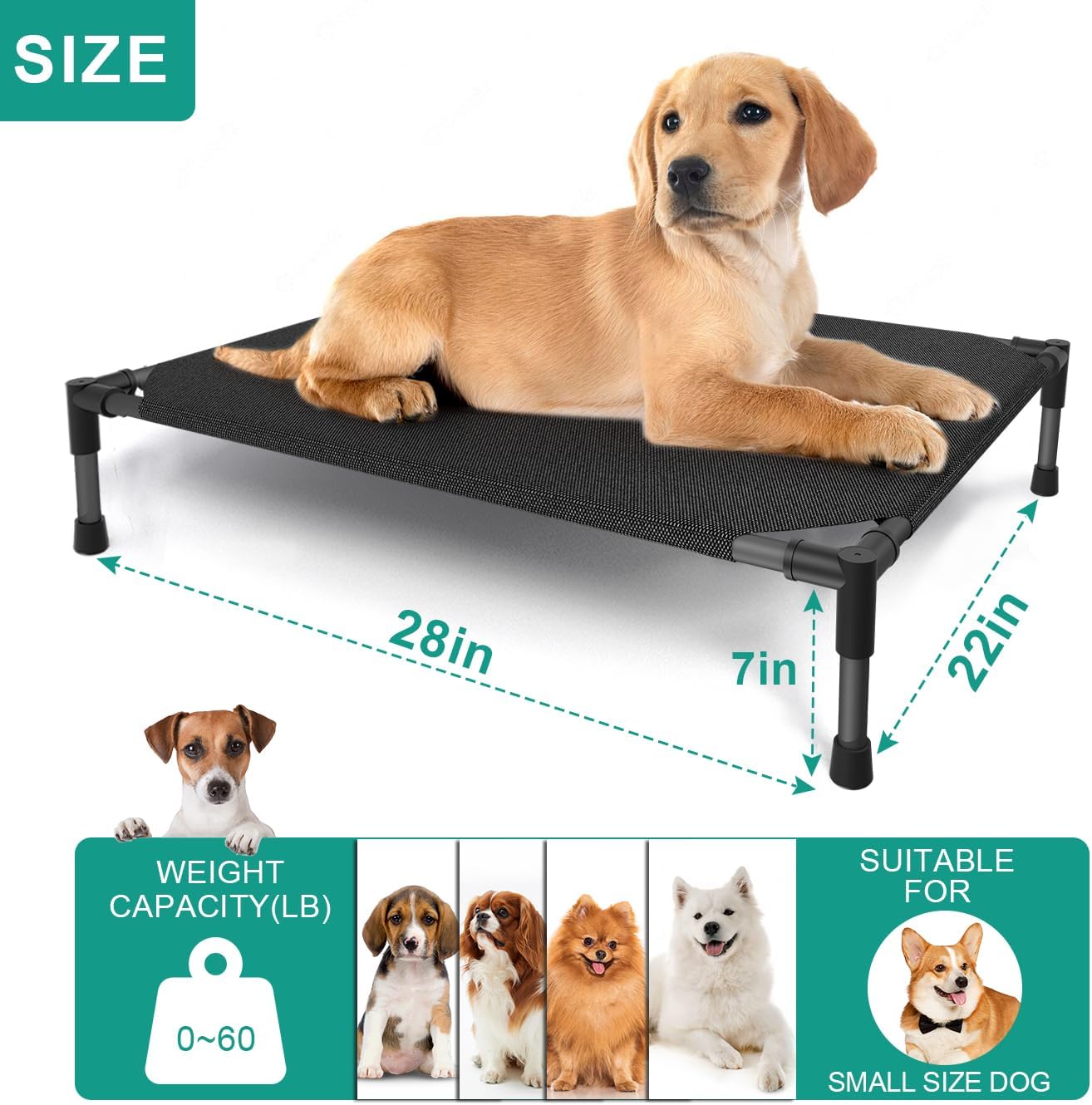 Medium Elevated Dog Bed (32x25x8in) – Raised Outdoor Pet Cot with Waterproof Frame, Breathable Mesh & Non-Slip Feet – Supports Up to 80 lbs – Black
