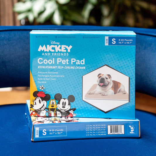 Disney Pluto Cool Pet Pad